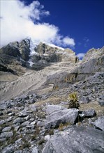 COLOMBIA, Cordillera , Boyaca, "Sierra Nevada de Cocuy, Mountain with snow on peak."