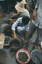 CHINA, Guangxi Province, Yangshuo, Market sellers with buckets of Eels.