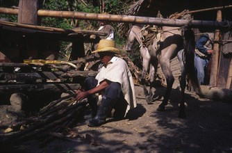 COLOMBIA, Tierredelentro, A man pressing sugar cane.