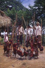 COLOMBIA, Casanare, "Carne a la llanera, A circle of meat on sticks round a fire with a few people