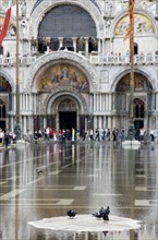 ITALY, Veneto, Venice, Aqua Alta High Water flooding in St Marks Square with pigeons on a dry piece