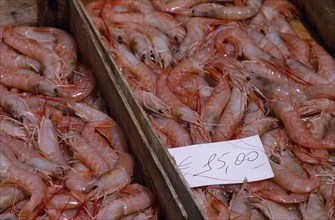 ITALY, Sicily, Catania, La Pescheria di Sant Agata. Fish market with detail of fresh Shrimp in