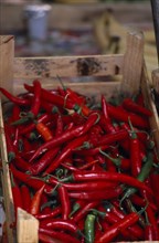 ITALY, Sicily, Catania, Red Hot Chilli Peppers in a market stall crate