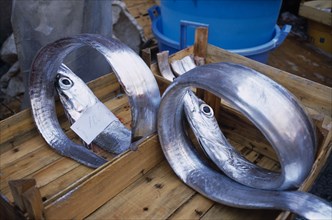 ITALY, Sicily, Catania, La Pescheria di Sant Agata. Fish Market with two Silver fish rolled up in a