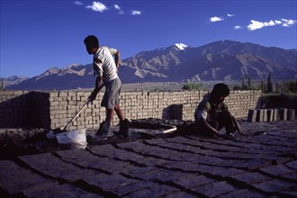 INDIA, Ladakh, Thikse , "Mud brick manufacture, mud bricks are the traditional material used for
