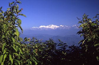 INDIA, West Bengal, Darjeeling, "View of Mount Kanchenjunga home of fine Indian tea, the old