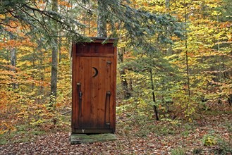 USA, New Hampshire, Sullivan, Outhouse amidst autumnal foliage.