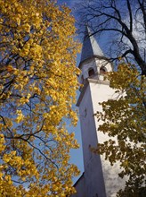 LATVIA, Sigulda, White painted church tower framed by trees with yellow Autumn leaves.