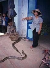 VIETNAM, Mekong Delta, Woman with pythons in market.