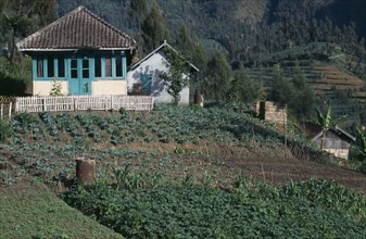 INDONESIA, Java, Mt Bromo, Farmhouse overlooking vegetable plots.