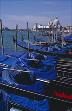 ITALY, Veneto, Venice, Line of gondolas moored at Piazza San Marco jetty with Santa Maria della