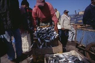 MOROCCO, Essaouira, Unloading catch of freshly caught and salted fish in crates on quayside.
