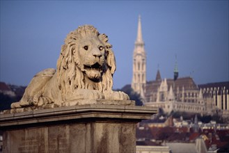 HUNGARY, Budapest, Stone statue of lion on Chain Bridge with Matyas Church in distance behind.