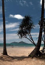 Australia, Queensland, Mission Beach, Dunk Island from Mission Beach