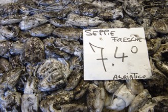 ITALY, Veneto, Venice, Squid in their ink for sale in the Pescheria fish market in the San polo and
