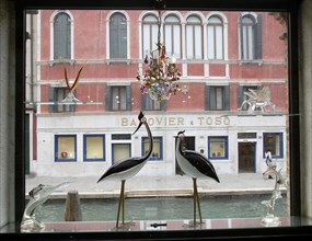 ITALY, Veneto, Venice, Glass display of birds and other objects in a window on Fondamente dei