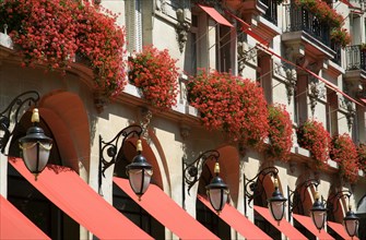 FRANCE, Ile de France, Paris, Red geraniums cascading over the balconies of the five star Plaza