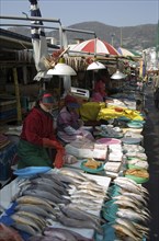 SOUTH KOREA, Yeongnam, Busan, "Seafood vendor at Jagalchi Market, the largest fish market in Korea"