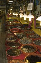 SOUTH KOREA, Yeongnam, Busan, "Shellfish in Shin Dong-A Building, Jagalchi Market"