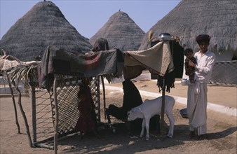 INDIA, Gujarat, Kutch, Family with white calf in shelter made from quilts spread over wooden frame