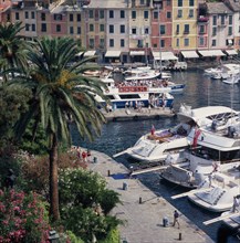 ITALY, Liguria, Portofino, View over the colourful harbour.