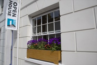 ENGLAND, East Sussex, Brighton, "Open house for Brighton fesitval, with colourful flowers in window