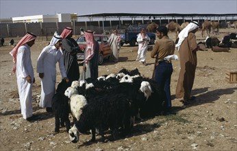 QATAR, Doha, Men buying and selling sheep in the Souk or market