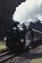 TRANSPORT, Rail, "Steam	", Bluebell railway steam engine in Sussex.