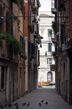 ITALY, Veneto, Venice, View down a narrow street to the Grand Canal in the San Polo and Santa Croce