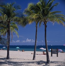 USA, Florida, Fort Lauderdale Beach, Palm trees on sandy beach with sunbathers under sun umbrellas