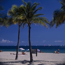 USA, Florida, Fort Lauderdale Beach, Palm trees on sandy beach with sunbathers sitting on sand near