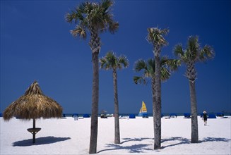USA, Florida, St Petersburg Beach, Palm trees on sandy beach with blue windbreaks and small tiki
