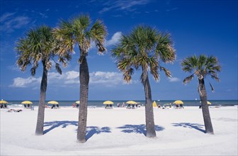 USA, Florida, Clearwater Beach, View through palm trees on sandy beach towards sunbathers on beach