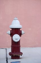 USA, Florida, Miami, Fire Hydrant on pavement near a pink wall