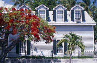 USA, Florida, Key West, Clapperboard House behind red flowering tree