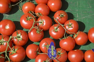 ENGLAND, West Sussex, Shoreham-by-Sea, French Market. Vine tomatoes on market stall