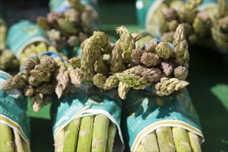 ENGLAND, West Sussex, Shoreham-by-Sea, French Market. Detail of bunches of asparagus on market