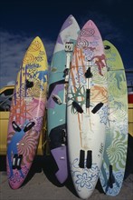 USA, Florida, Colourful Windsurfing boards standing up against a truck on sandy beach