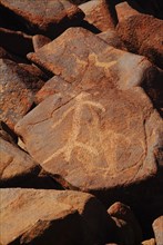 Australia, Western Australia, Dampier, "40,000 yo Aboriginal Art that is currently being bulldozed