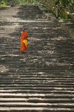SRI LANKA, Mihintale, "A lone monk descending The Stairway, 1840 granite steps that lead up to the