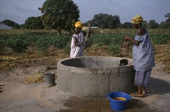 GAMBIA, Agriculture, Women collecting water from well for vegetable plots.