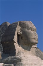 EGYPT, Cairo Area, Giza, Side profile of Sphinx with the pyramid of Kharfe of Khephren behind