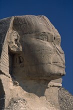 EGYPT, Cairo Area, Giza, The Sphinx. Side profile of head