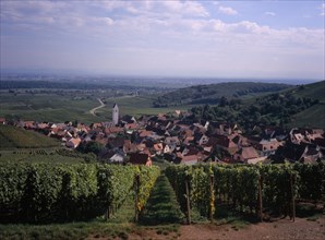 FRANCE, Alsace , Haut Rhin, Katzenthal. View through Vineyards towards village
