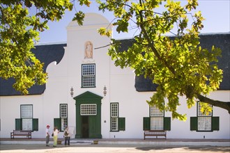 SOUTH AFRICA, Western Cape, Cape Town, "Groot Constantia, oldest vineyard in the Cape. "