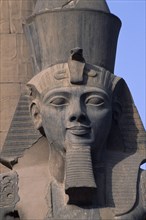 EGYPT, Nile Valley, Luxor, Luxor Temple. Ramses II Statue. Detail of head