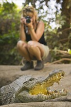 THE GAMBIA, Bakua, "Tourist photographing a crocodile in the Kachikaly Crocodile Pool, a sacred