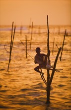 SRI LANKA, Weligama, A lone stilt fisherman at sunset near Weligama.
