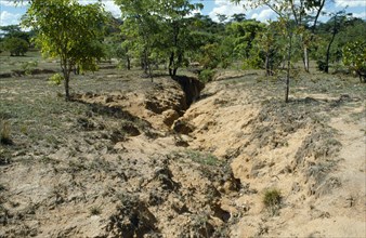 ZIMBABWE, Murewa District, Agriculture, Fertile land becoming barren due to erosion of soil.