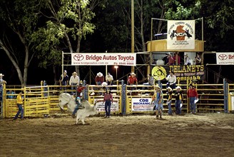 Australia, Northern Territory, Darwin, Darwin Rodeo - the rider and bull fight to the finish - 8